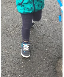 DC SHOES | スニーカー