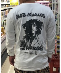 STUSSY | Tシャツ/カットソー