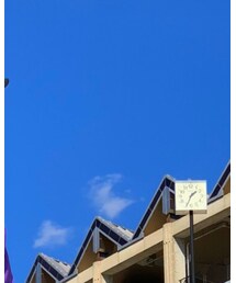 Carhartt WIP | スウェット