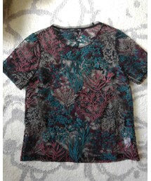 ZARA | Tシャツ/カットソー