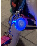 HYSTERIC GLAMOUR(ヒステリックグラマー)の「アクセサリー(チャーム)」
