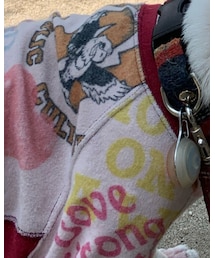 buhix | Tシャツ/カットソー