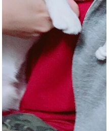 Champion | Tシャツ/カットソー