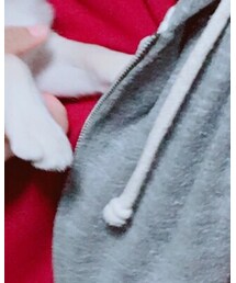 [Alexandros] | パーカー