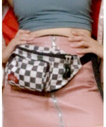 Dickies | ボディバッグ/ウエストポーチ