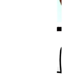 靴下屋 | ソックス/靴下