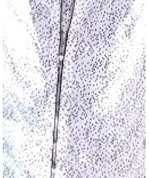 nonnative | シャツ/ブラウス