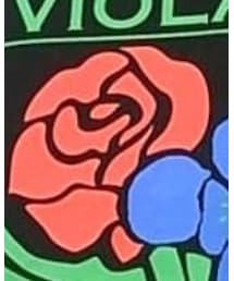 VIOLA & ROSES | Tシャツ/カットソー