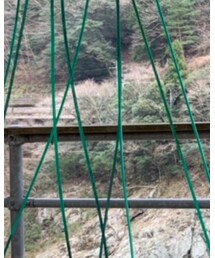 古着 | サロペット/オーバーオール