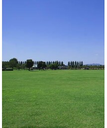 公園 | その他