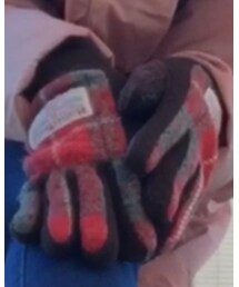 HARRIS TWEED | その他小物