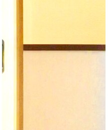 SHIPS | ダウンベスト