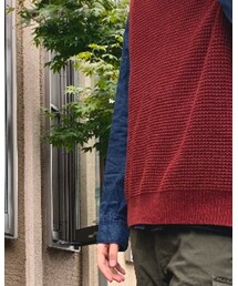 Hollister | シャツ/ブラウス