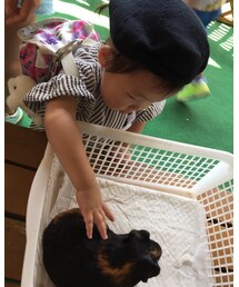 POLO RALPH LAUREN | デニムスカート