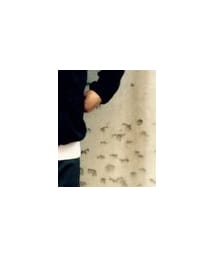 CAMBER | Tシャツ/カットソー