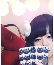 ペヘモリッケ | ブローチ/コサージュ