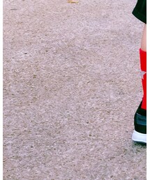 韓國 | ソックス/靴下