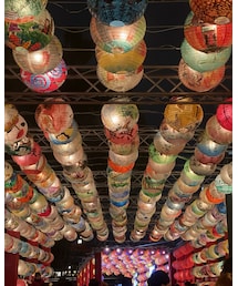 イルミネーション | その他