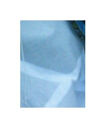 tradlad | Tシャツ/カットソー