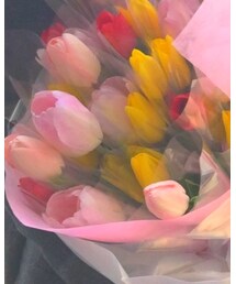 卒園プレゼント | ラッピングキット