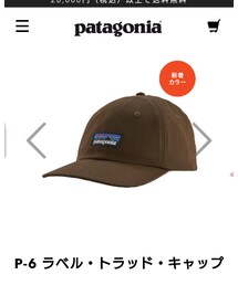 patagonia | 帽子