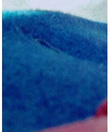 Sally Scott | ピーコート