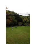 吊り橋♡の「インテリア(インテリア)」