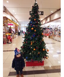 クリスマスツリーと♡ | 福袋/福箱