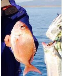 N'sCITY | トップス