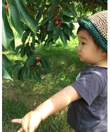 さくらんぼ狩り🍒 | その他
