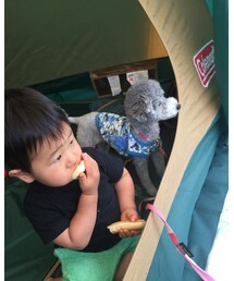 いつも一緒🐩 | その他