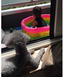 監視中の相方🐩 | その他