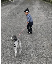 散歩🐩 | その他
