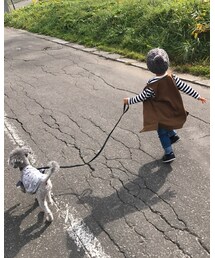 今日も散歩🐩 | その他