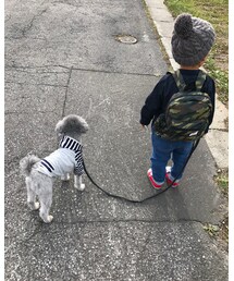 散歩🐩 | その他