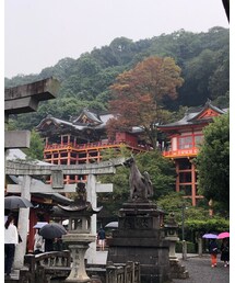 祐徳稲荷   佐賀県 | 福袋/福箱