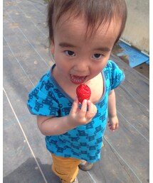 イチゴ狩り🍓 | その他