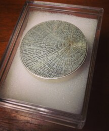 DD:WW | 木のブローチ(ブローチ/コサージュ)