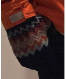 THE NORTH FACE | 手袋