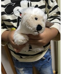 クマちゃん | おもちゃ