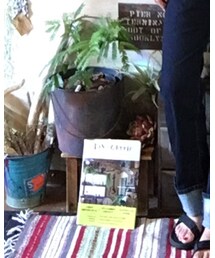 DIY+GREEN もっとおうちを好きになる | 私の活動してる、つるじょというDIYブロガーの本が発売されてます。各メンバーのセルフリノベーションしたおうちと、簡単にDIYできるもののHOWTOが載ってます。(本)