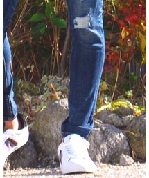 LACOSTE | スニーカー