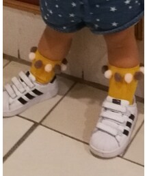 adidas | スニーカー