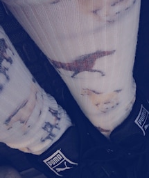 liflattie ships | 馬の靴下
(シューケア用品)