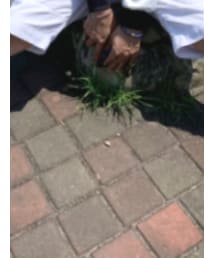 CONVERSE | カーゴパンツ