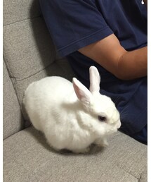 愛兎🐰佐吉 | その他