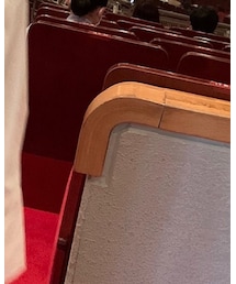 THE SHINZONE | シャツ/ブラウス