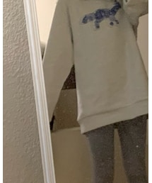 ADER error | パーカー