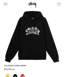 STUSSY | スウェット