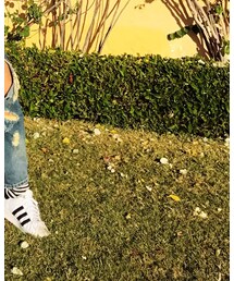 一定要发品牌吗 | マフラー